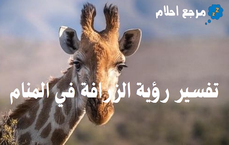 تفسير رؤية الزرافة في المنام لمختلف الحالات