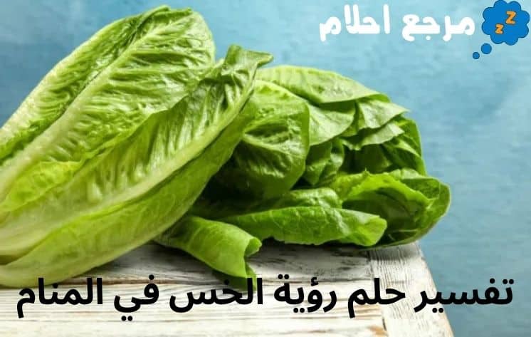 تفسير حلم رؤية الخس في المنام مليئة بالسعادة والفرح