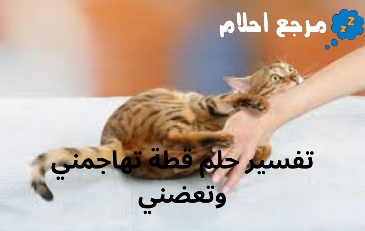 تفسير حلم قطة تهاجمني وتعضني وعلاقته بوجود عدو