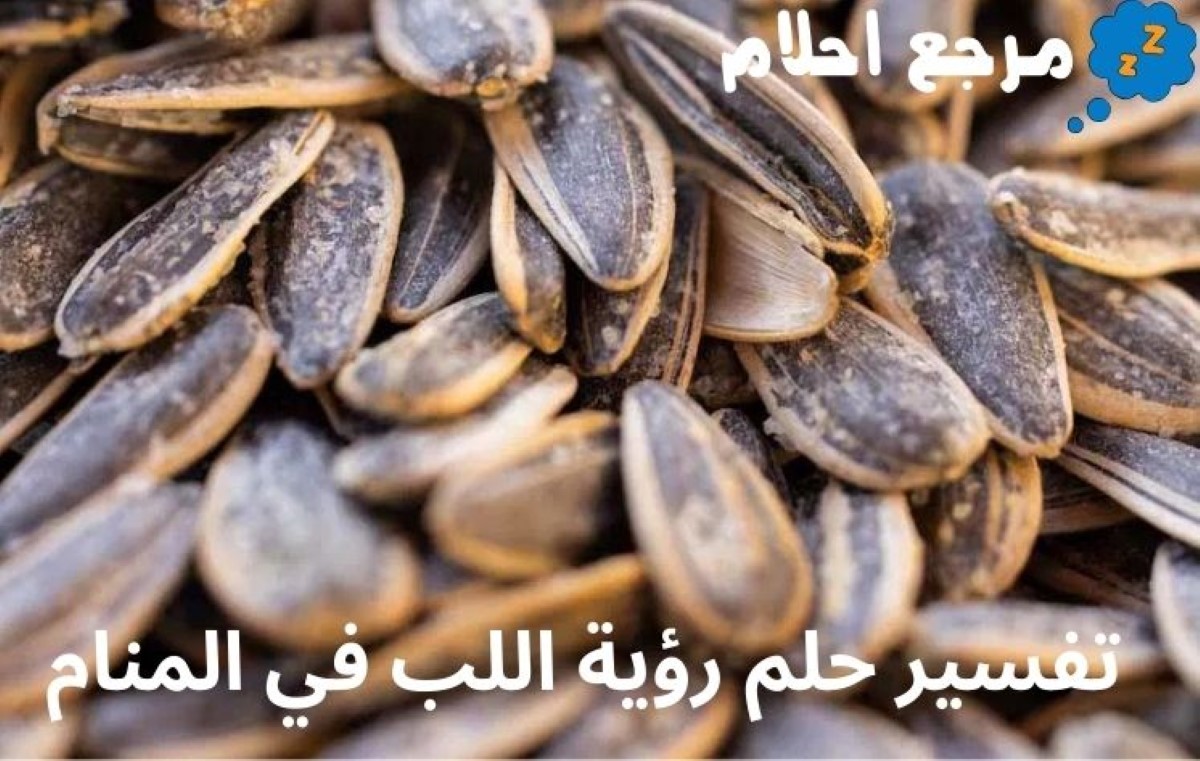 تفسير حلم رؤية اللب في المنام هل ينذر بالخير أم لا الشر؟