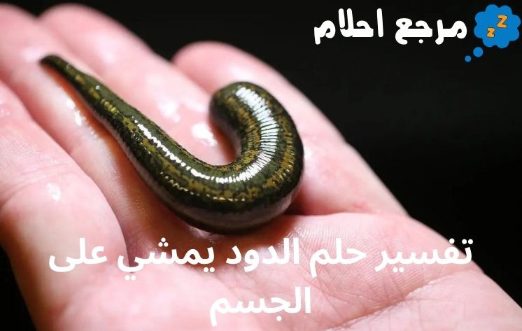تفسير حلم الدود يمشي على الجسم وفقاً لآراء العلماء