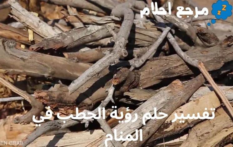 تفسير حلم رؤية الحطب في المنام وأهم معانيه