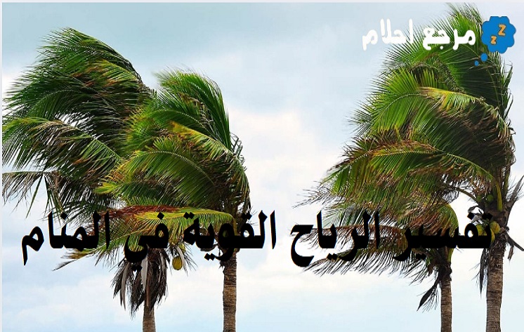 تفسير حلم الرياح القوية في المنام ودلالاته المتنوعة