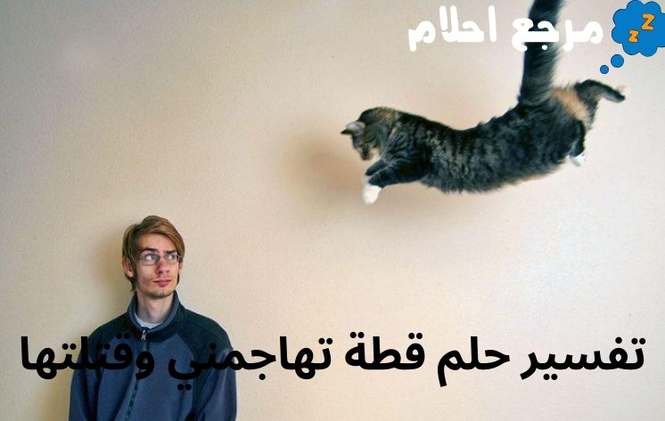 تفسير حلم قطة تهاجمني وقتلتها لابن سيرين