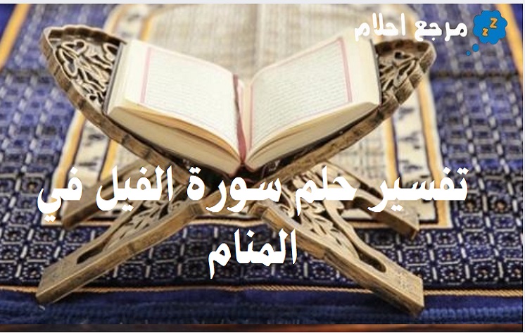 تفسير حلم سورة الفيل في المنام.. وما هي المدلولات الواردة للحلم