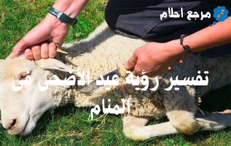 تفسير رؤية عيد الأضحى فى المنام وعلاقته بالفرج