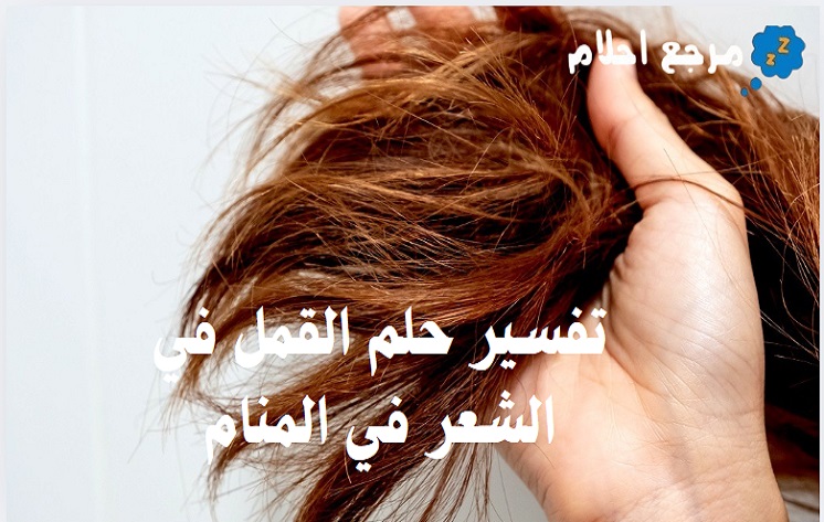 تفسير حلم القمل في الشعر في المنام وهل له علاقة بالحسد؟