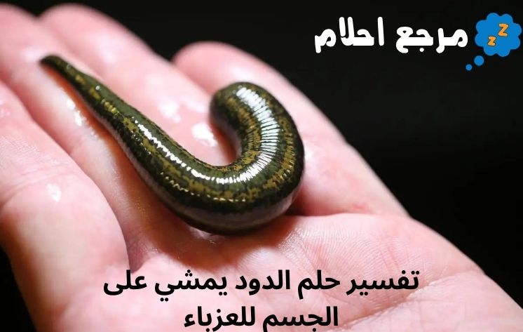 تفسير حلم الدود يمشي على الجسم للعزباء لابن سيرين