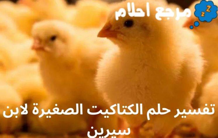 تفسير حلم الكتاكيت الصغيرة لابن سيرين وأهم الحالات