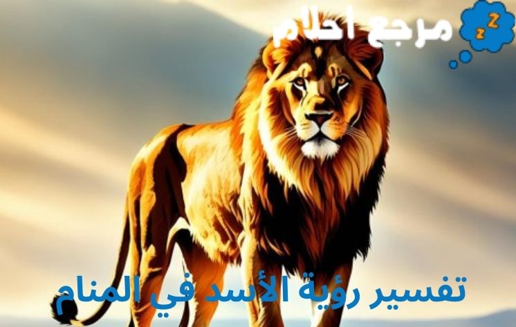 تفسير رؤية الأسد في المنام قد يشير إلى وجود شخص قوي في حياة الرائي.