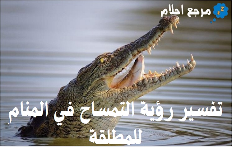 تفسير رؤية التمساح في المنام للمطلقة وما تشير إليه