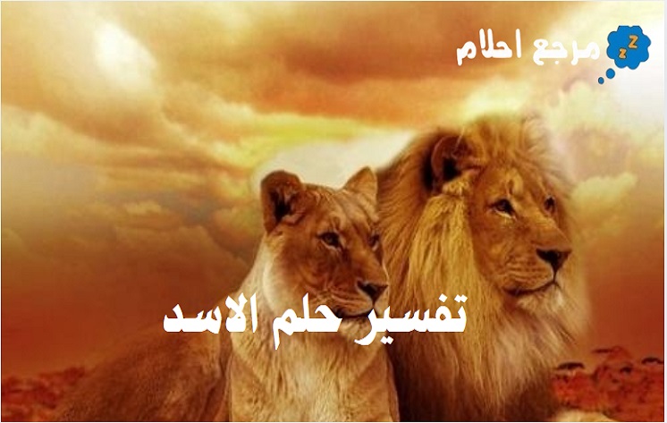 تفسير حلم الاسد في المنام للعديد من المفسرين