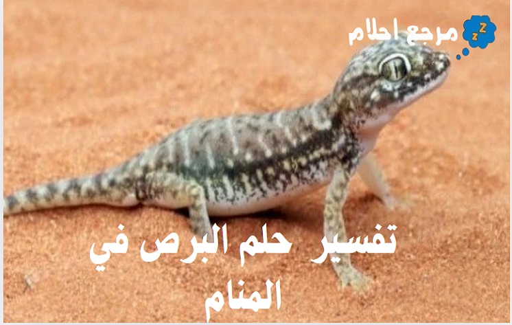 تفسير حلم البرص في المنام ودلالاته المتنوعة