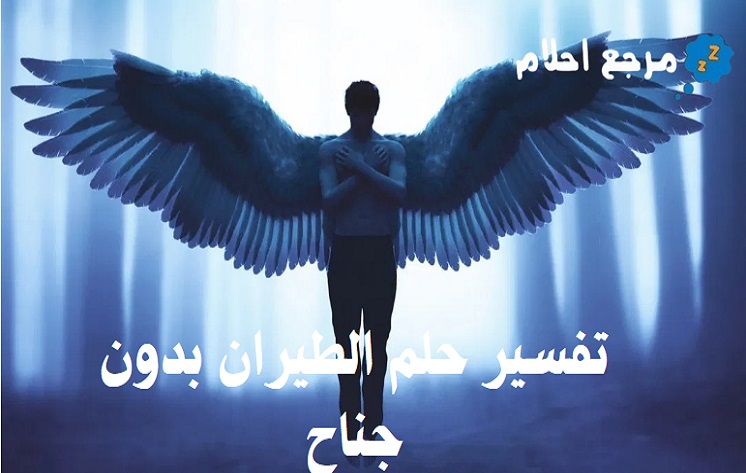 تفسير حلم الطيران بدون جناح في المنام بحسب ما طرحه الأئمة