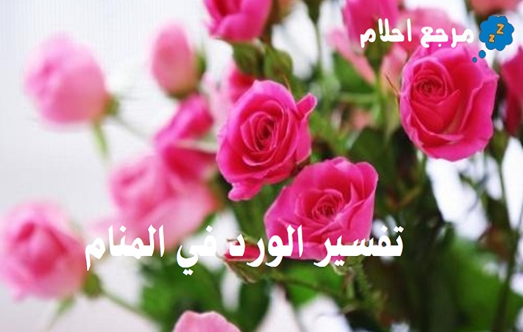 تفسير الورد في المنام والرموز التي ترمز إليه