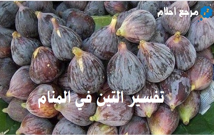 تفسير رؤية التين في المنام وعلاقته بالمال الحلال