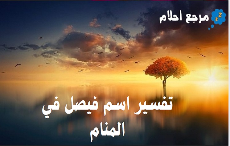 تفسير اسم فيصل في المنام والاحتمالات الواردة