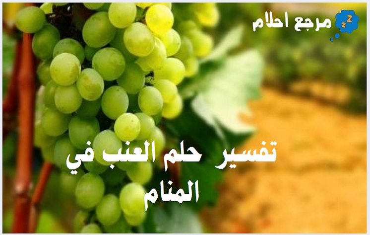 تفسير حلم العنب في المنام بحالاته المختلفة