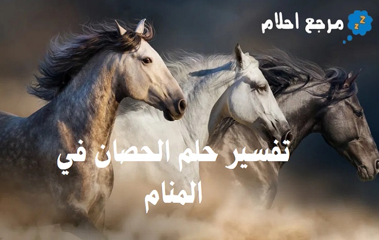 تفسير حلم الحصان في المنام للحالات المختلفة