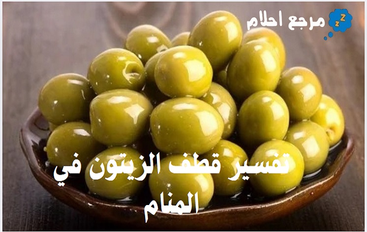 تفسير قطف الزيتون في المنام بحسب آراء الفقهاء