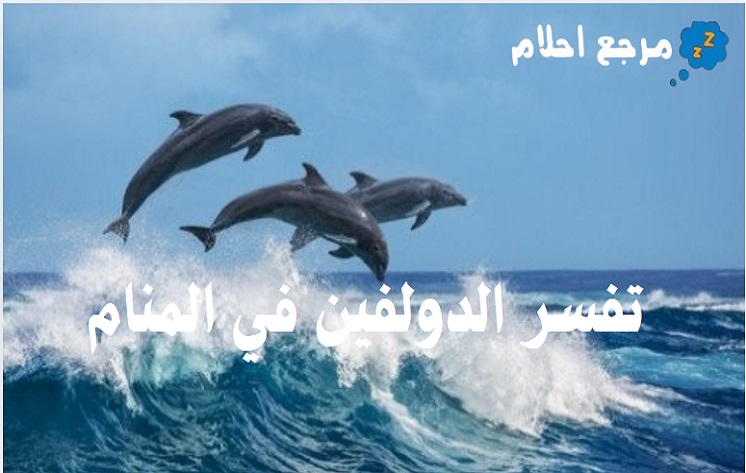 تفسير حلم الدولفين في المنام والحيوانات البحرية
