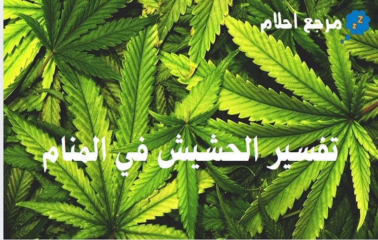 أبرز ما ورد في تفسير حلم الحشيش في المنام