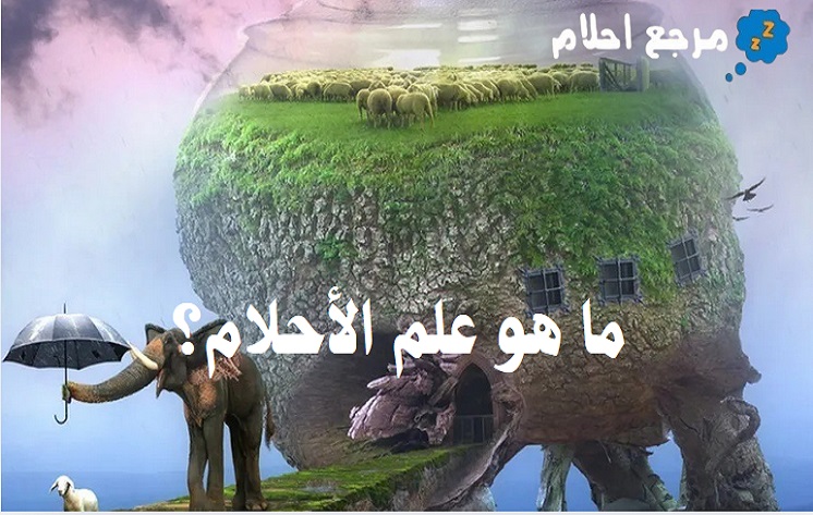 ما هو علم الأحلام؟ وطرق دراسته المختلفة