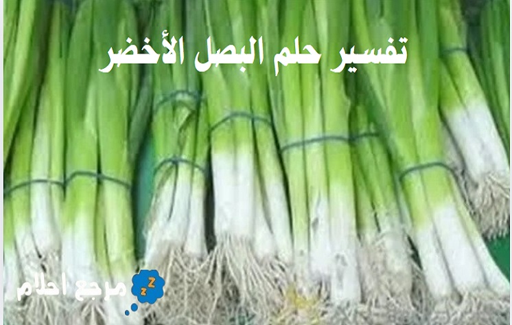تفسير حلم البصل الأخضر في المنام وما يعكسه
